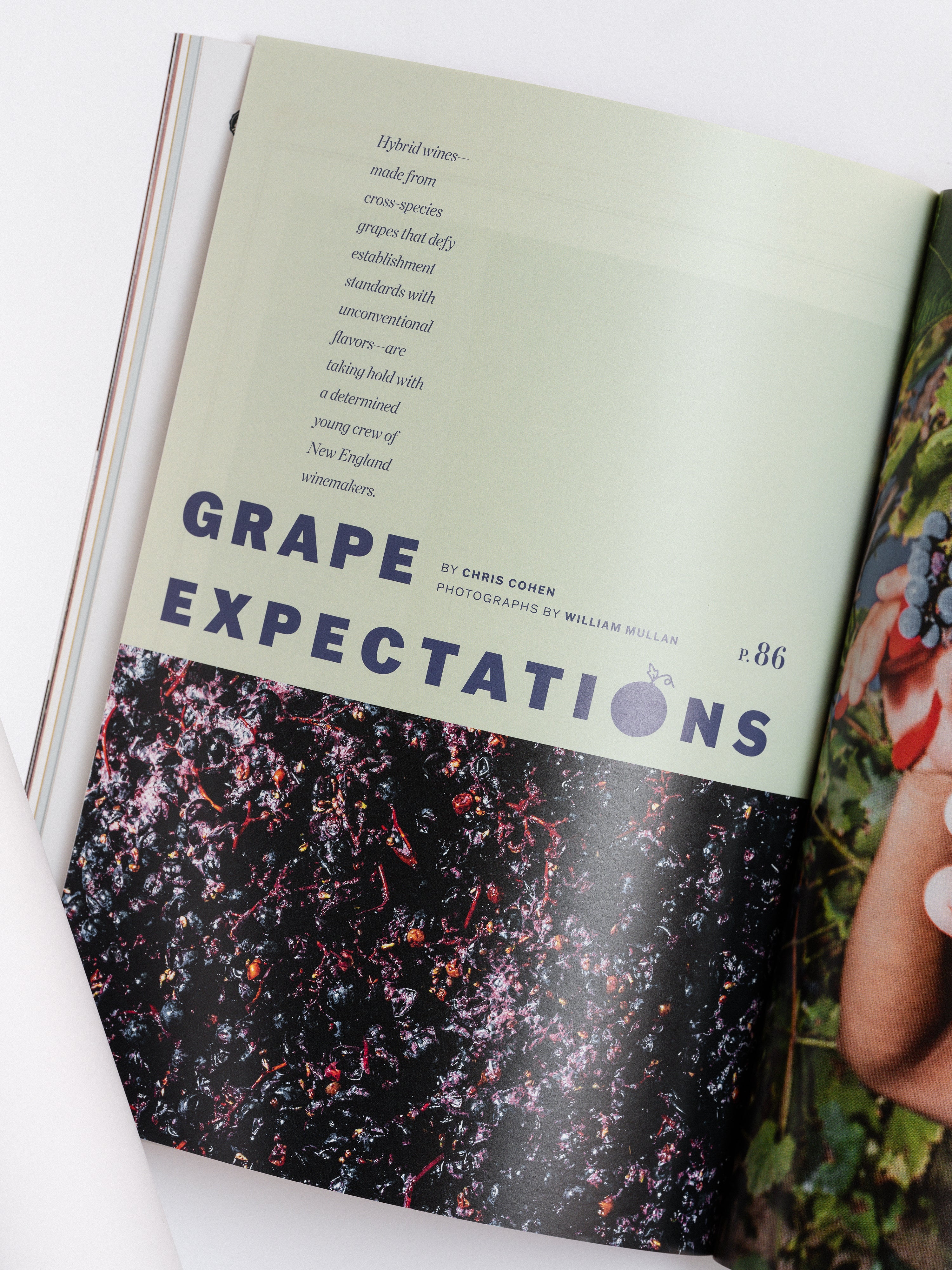 SAVEUR Magazine Issue 206 Spring / Summer 2026