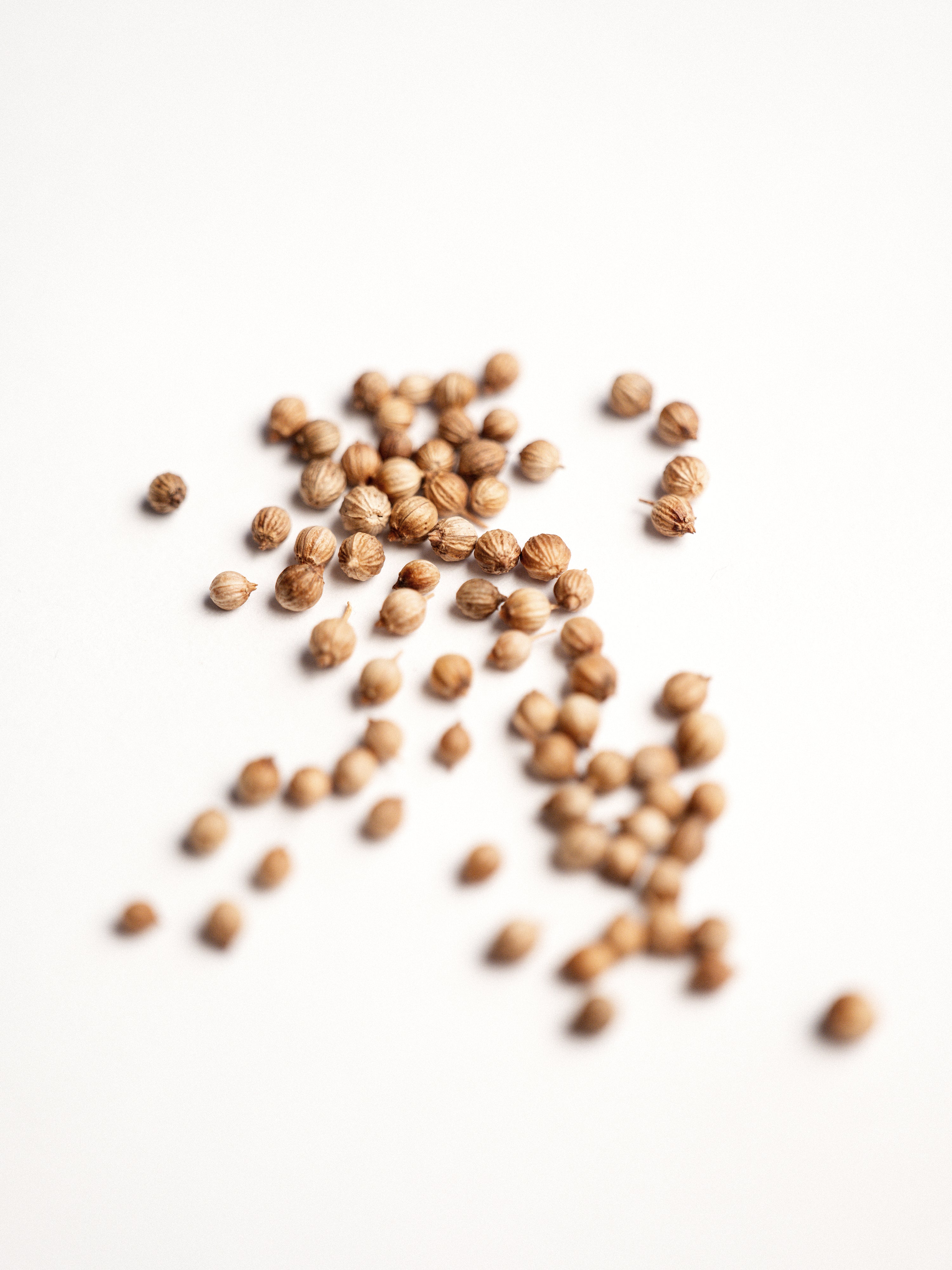 BURLAP & BARREL Red River Coriander Seeds