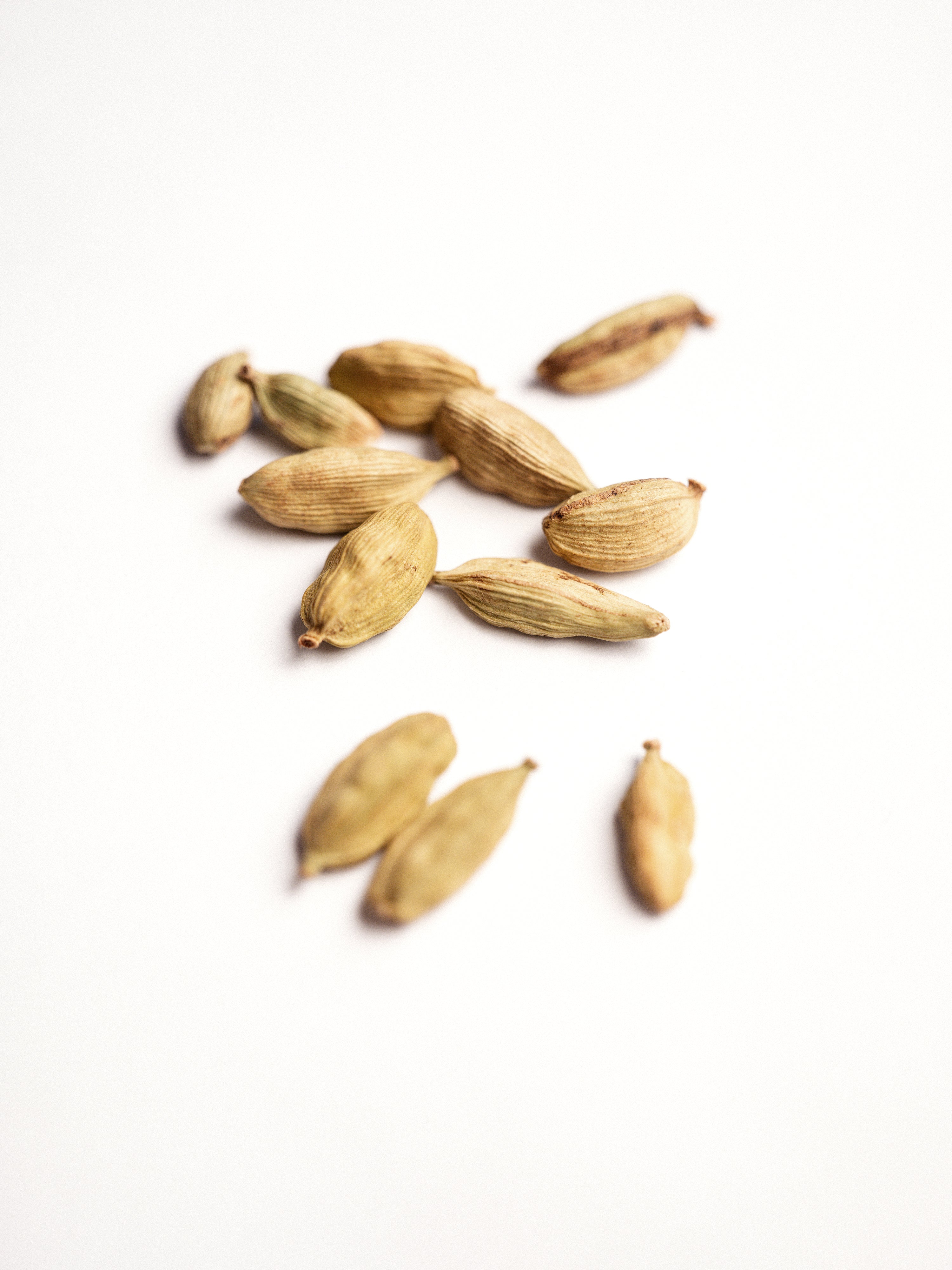 BURLAP & BARREL Cloud Forest Cardamom Pods