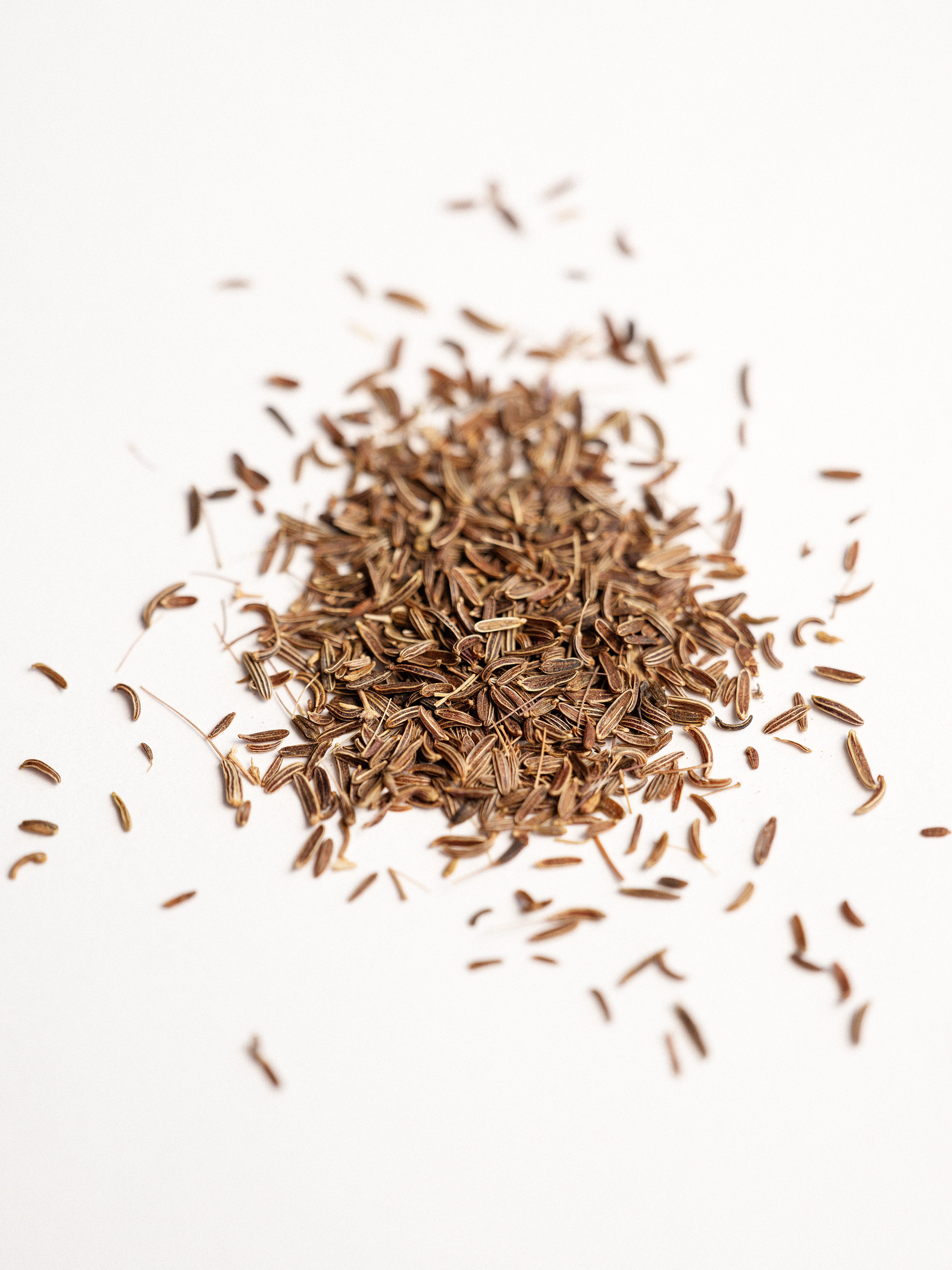 BURLAP & BARREL Wild Mountain Cumin